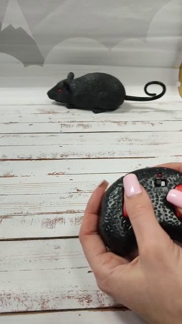 Мышь на пульте #mapaya #мамапапая #магазинигрушек #игрушк? смотреть онлайн