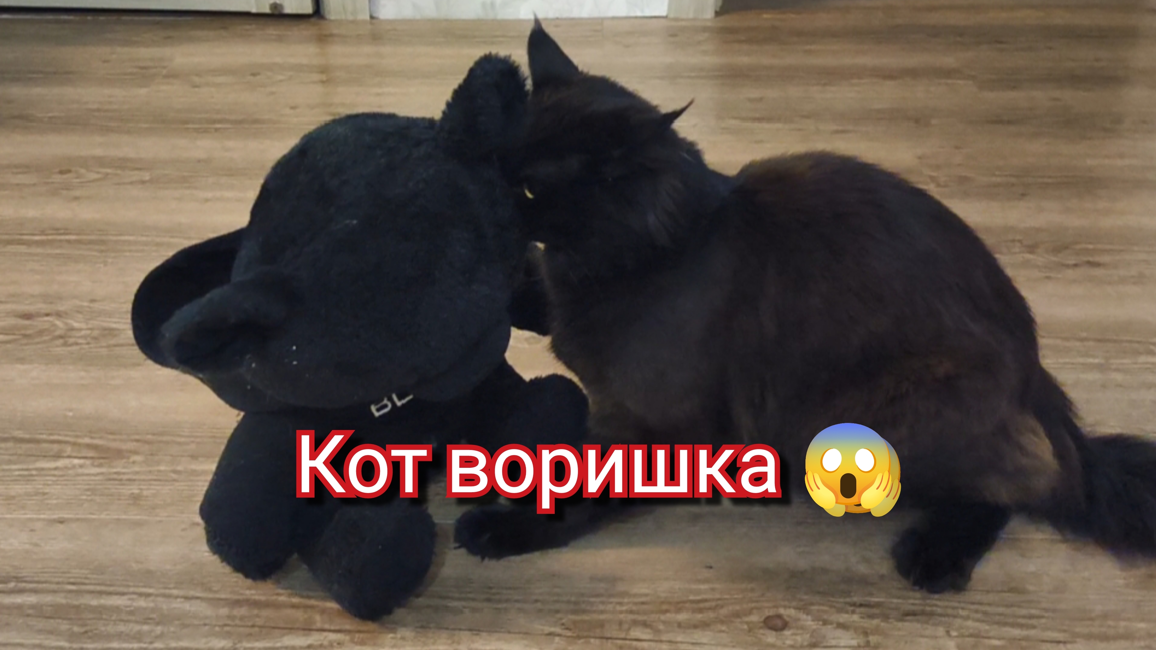 Кот воришка. Мейкун. смотреть онлайн