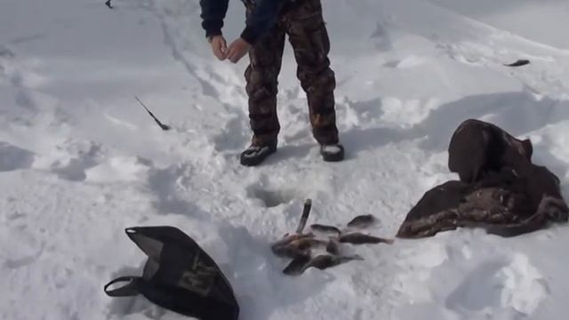 щука зимой на летнюю блесну смотреть онлайн