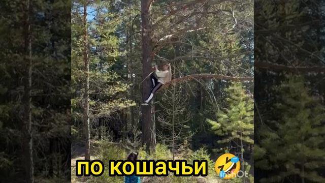 прогулка по Шаманке