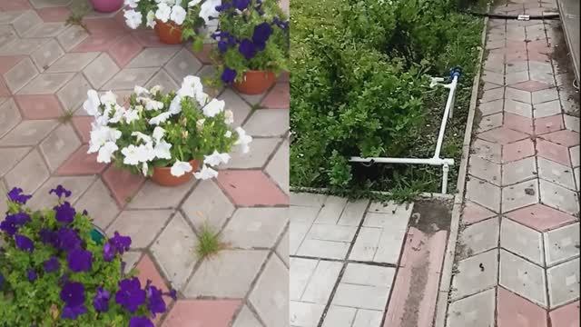 МОЯ ДАЧА смотреть онлайн