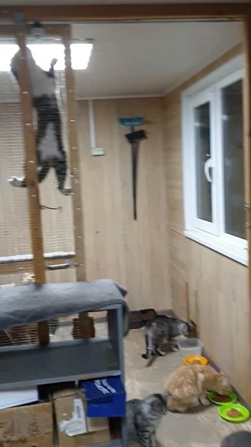 Дяде Диме огромное спасибо. Как кушать-зубы есть, а как смотреть онлайн