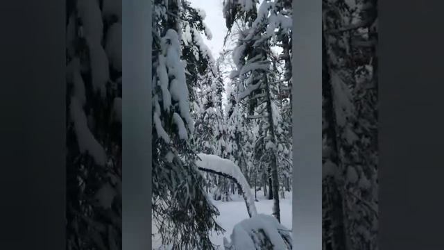 Охота в зимний период смотреть онлайн