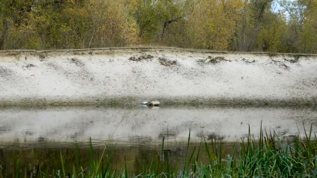 Немного красок осени. Отражения в воде смотреть онлайн