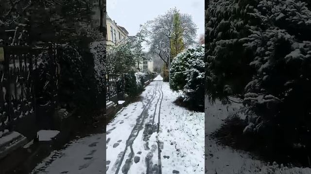 Так хочется жить #светланачернобривец #добро #bremen #love #? смотреть онлайн