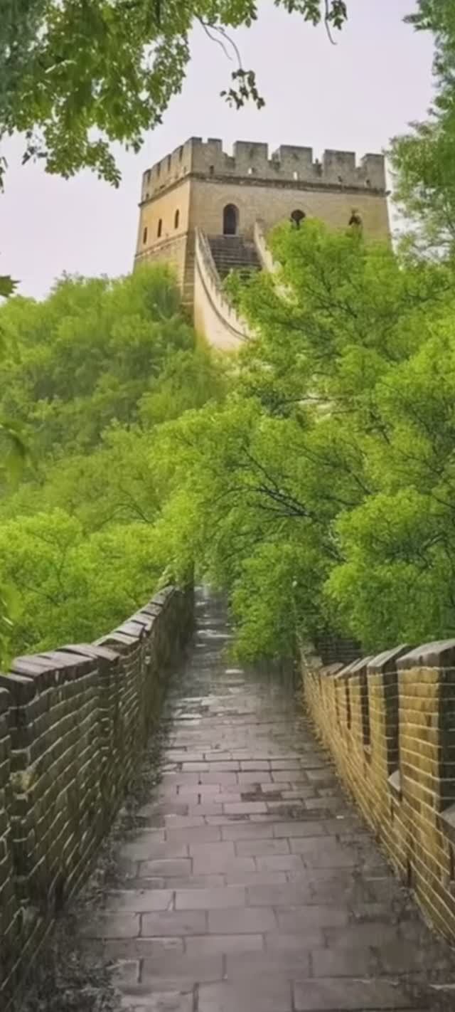 китай смотреть онлайн