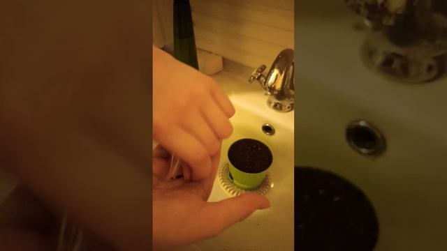 посев кактусов. смотреть онлайн