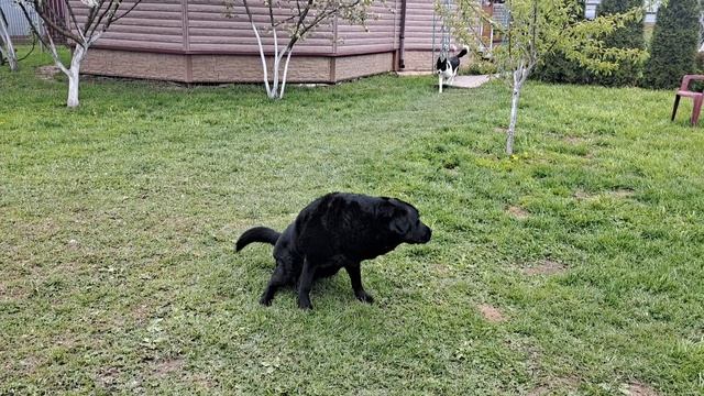 Найда смотреть онлайн