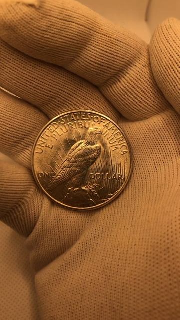 1 доллар 1923 Мирный доллар Серебряная монета Peace dollar / Бл смотреть онлайн
