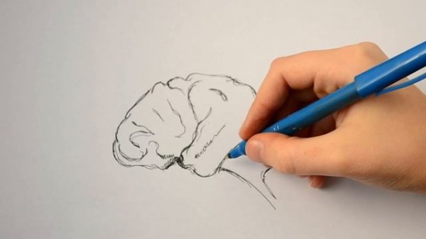 Жизнь после смерти - СУЩЕСТВУЕТ? | Science and Facts