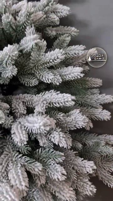 ель настенная заснеженная смотреть онлайн