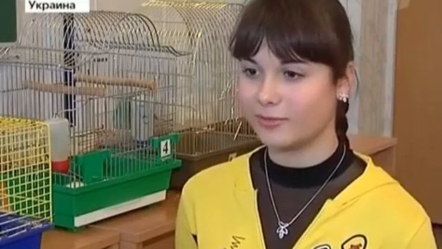 Не советую есть вредную еду смотреть онлайн