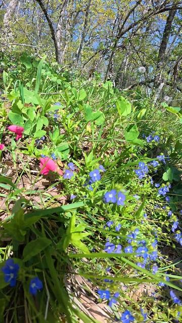 Аю-Даг Весна смотреть онлайн