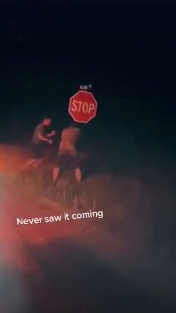 Хорошо когда с другом есть общее хобби shorts 🫣🤪🤣 #shorts смотреть онлайн