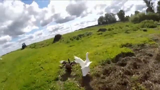 Трактор в деревне круче мото? смотреть онлайн