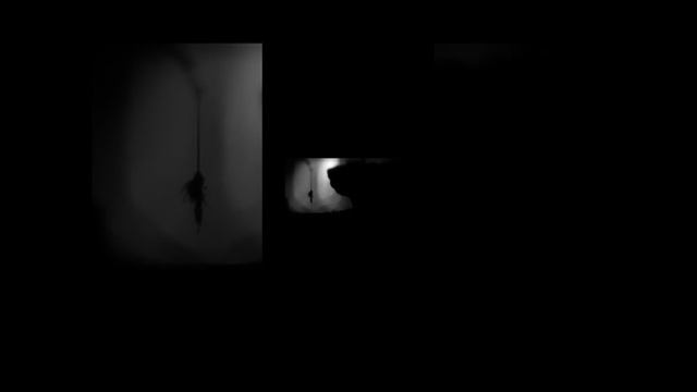 1 часть прохождения игры Limbo смотреть онлайн
