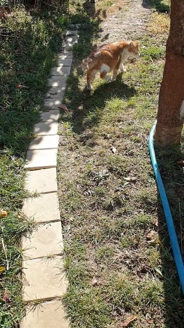 Если фигура есть, то её не спрячешь смотреть онлайн