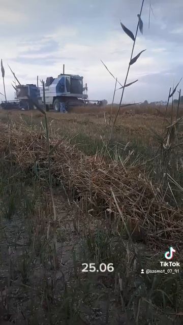 25 июня 2022 г. смотреть онлайн