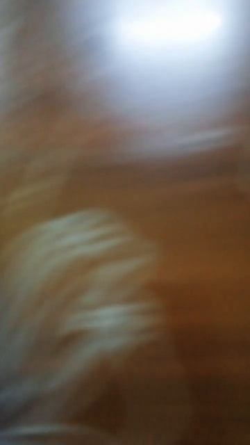 Автор идеи по звуку автор лютик сори что на столько до смотреть онлайн