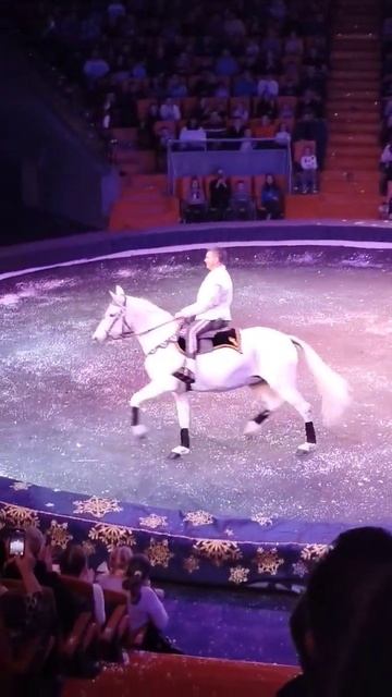 25 декабря 2023 г. смотреть онлайн