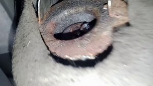 замена задней стойки lada kalina 1