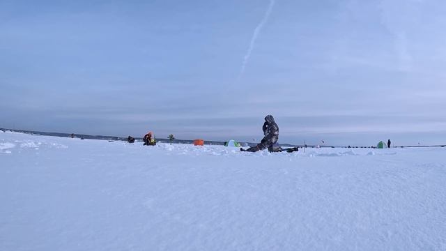 Шеркалы 27.01.2024