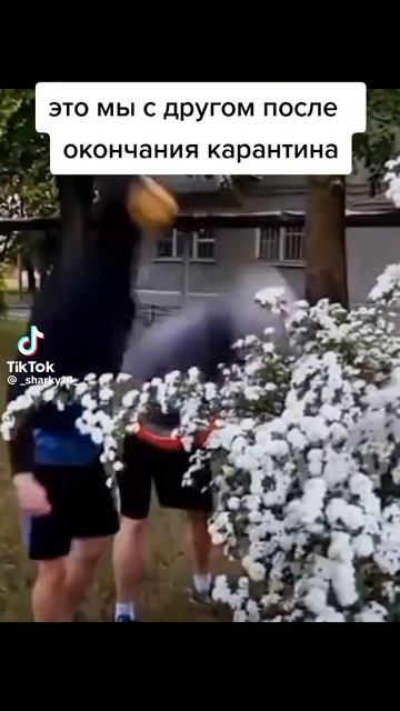 джевин и Блэк гуляют.