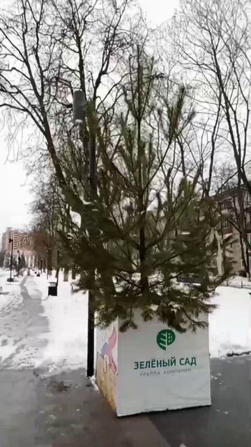 Нецелевое расходование бюджетных средств!#жуковский # смотреть онлайн