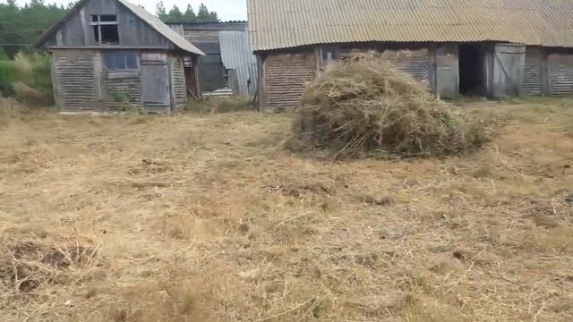 Бизнес-рекомендации