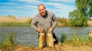 ДИКАРЯМИ НА САЗАНА! В АСТРАХАНИ !РЫБАЛКА НА ДИКОМ ОСТРОВЕ! ОНИ ГНУТ СПИНИНГ! Астрахань 2025!