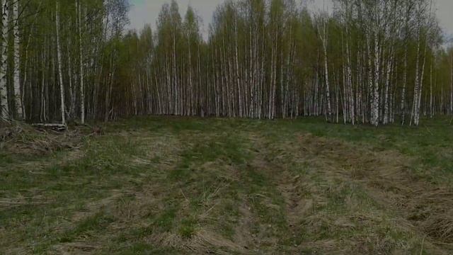 Россия берёзовый край смотреть онлайн