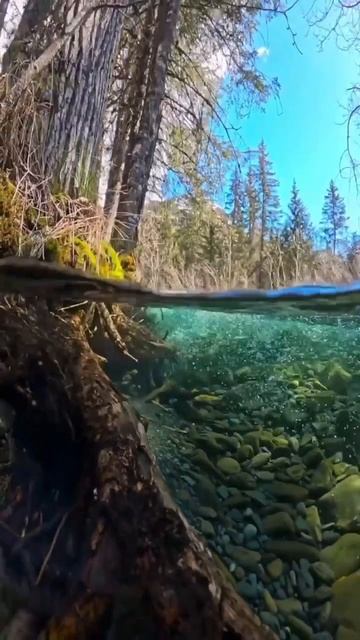 Жизнь самое большое сокровище что может быть #жизнь #л? смотреть онлайн