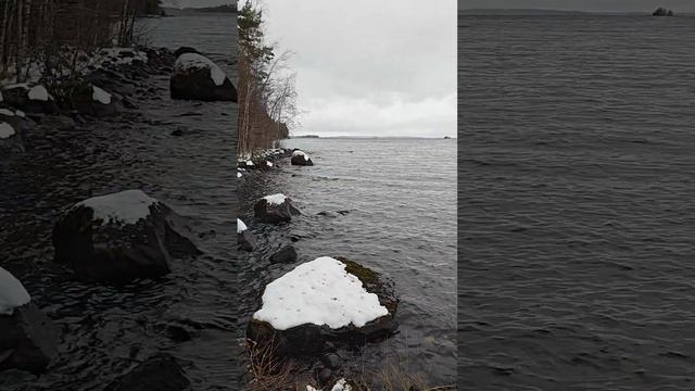 Белый снег, ❄️зелёные елки🌲 смотреть онлайн