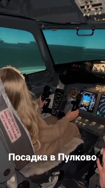 #посадка в Пулково #travel#самолет#рейс#полет смотреть онлайн