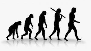 Творения эволюции: Успехи и неудачи природы | Интересные факты про животных планеты