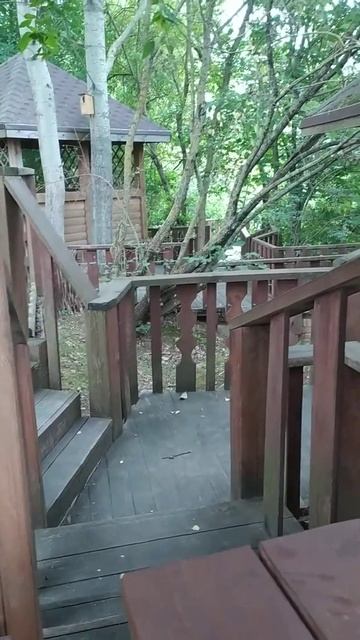 24 августа 2021 г. смотреть онлайн