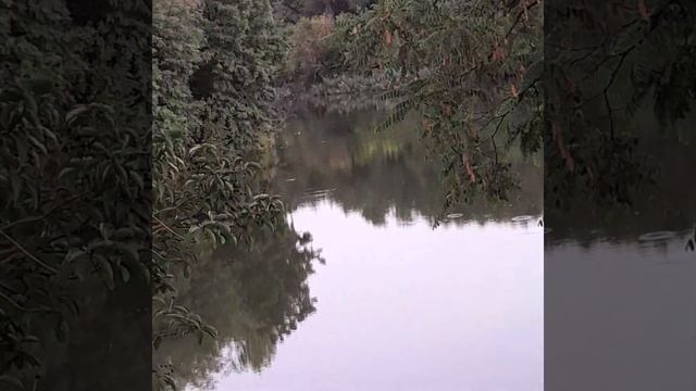 У БОГА НЕТ ДРУГИХ РУК,КРОМЕ НАШИХ. смотреть онлайн