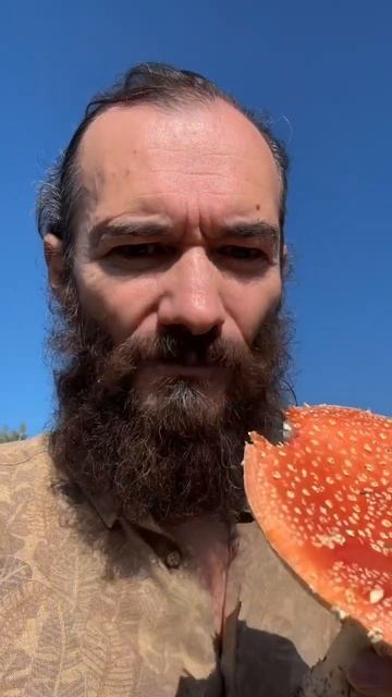 Ем сырой мухомор #шаман #мухоморныймикродозинг #мухом? смотреть онлайн