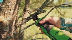 Пилит всё: мощная аккумуляторная сабельная пила Greenworks