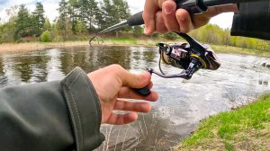 КИНУЛ ПОД ДЕРЕВО, УДАР и спиннинг В ДУГУ! Рыбалка на ПОДЪЕМЕ ВОДЫ в мае 2025