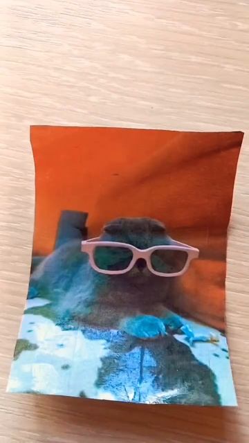 Новые картинки🙉 моя кошка?❤️✨ #karamelka #украшения смотреть онлайн