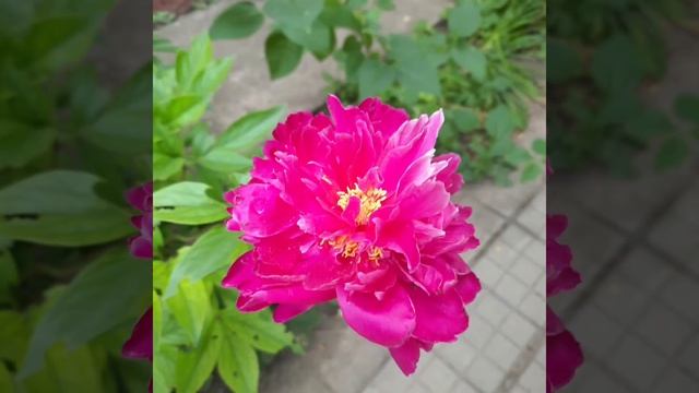 Есть на свете рай Краснодарский край смотреть онлайн