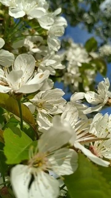 #Родина смотреть онлайн