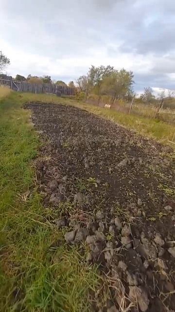 РУЧНАЯ ВСКОПКА ГРЯДКИ ✅️ #огород #огородничество #ого смотреть онлайн