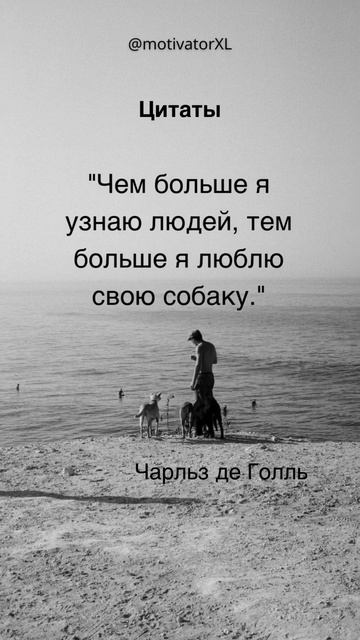 Люди сложны, а собаки просты и верны #разочарование #лю смотреть онлайн