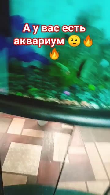 а у вас есть аквариум #аквариумныйдизайн смотреть онлайн