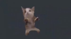 кот танцует 1 час