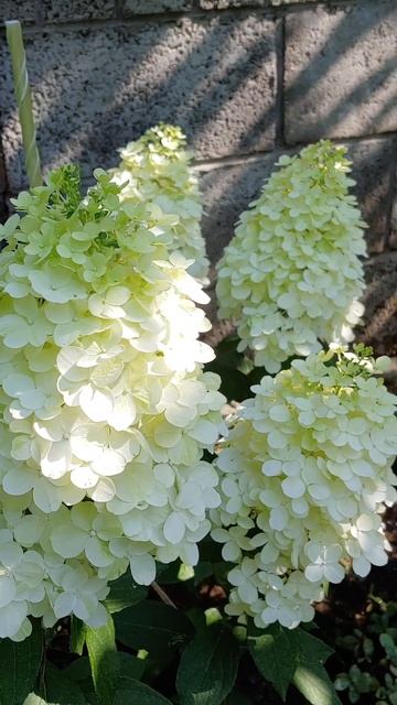 Молодой "Геркулес"/"Hercules" смотреть онлайн