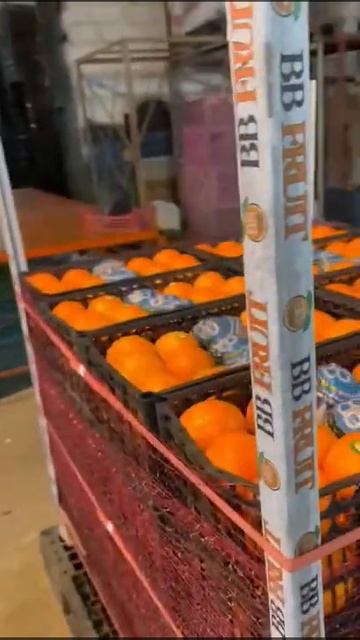 СМОТРИТЕ СИРИЯ СЕГОДНЯ ИРАН ФУД СИТИ АКЦИЯ СРОЧНО ПРО? смотреть онлайн