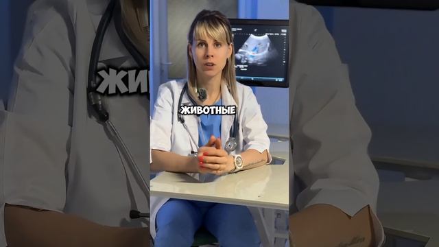 Почему кошка перестала пользоваться лотком и как это ? смотреть онлайн